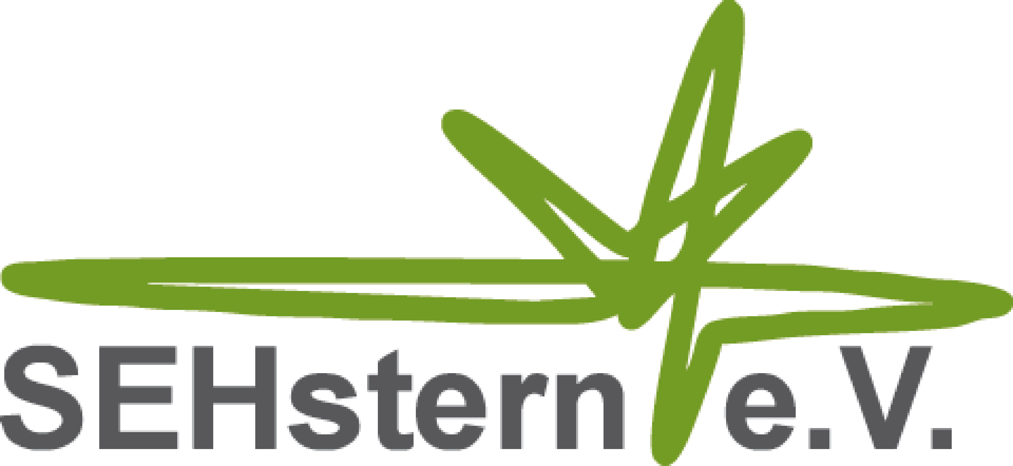 SEHstern e. V.